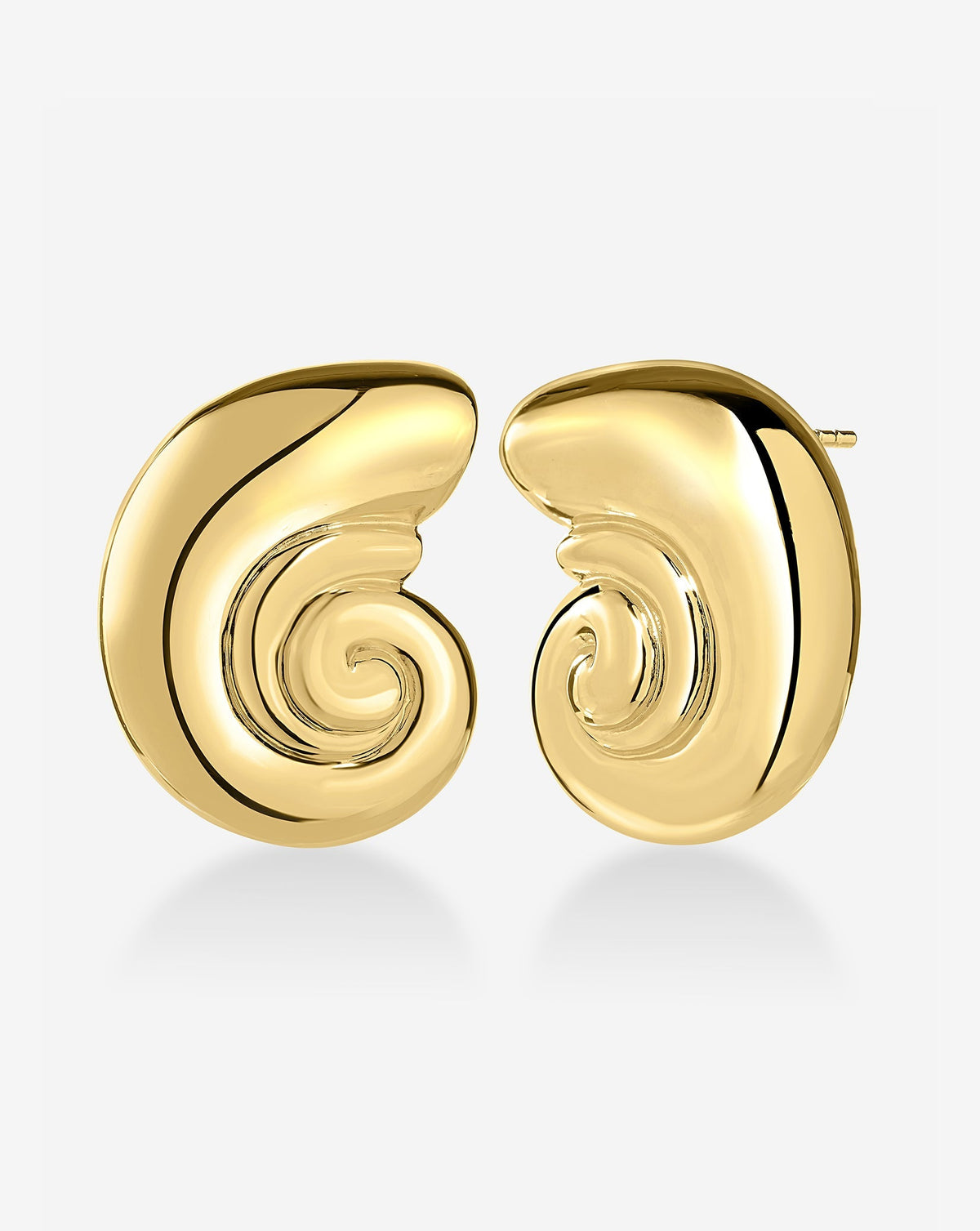 Nautilus Shell Earrings